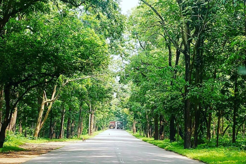Dense forests and wildlife at Eturnagaram Wildlife Sanctuary in Mulugu, Telangana.
