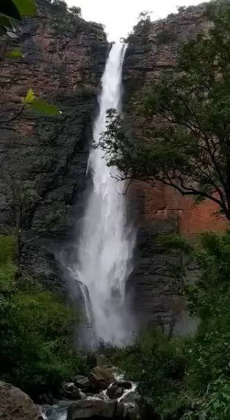 Mutyala Dhara Waterfalls in Mulugu, Telangana surrounded by dense forest